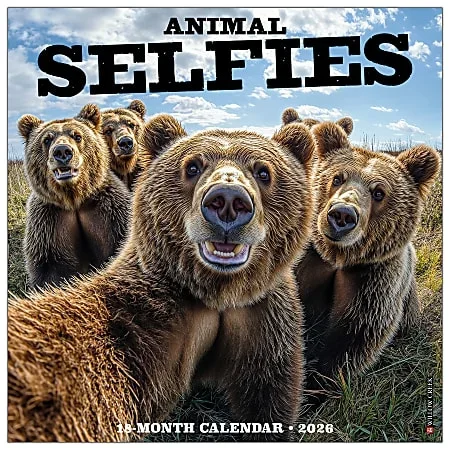 2026 Willow Creek Press Animals Monthly Wall Calendar, 12″ x 12″, Animal Selfies, January To December, 49884