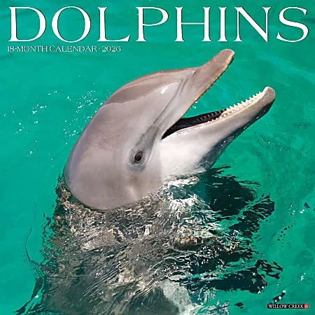 2026 Willow Creek Press Animals Monthly Wall Calendar, 12″ x 12″, Dolphins, January To December, 55403