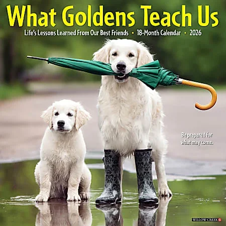 2026 Willow Creek Press Animals Monthly Wall Calendar, 12″ x 12″, What Goldens Teach Us, January To December, 53188