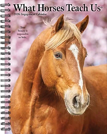 2026 Willow Creek Press Weekly Engagement Calendar, 6-1/2″ x 8-1/2″, Stallion Stories, January To December, 54697