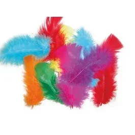 Bright Feathers