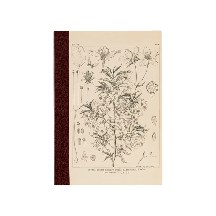 Hobonichi Graph Notebook A6 Yamazakura Grid