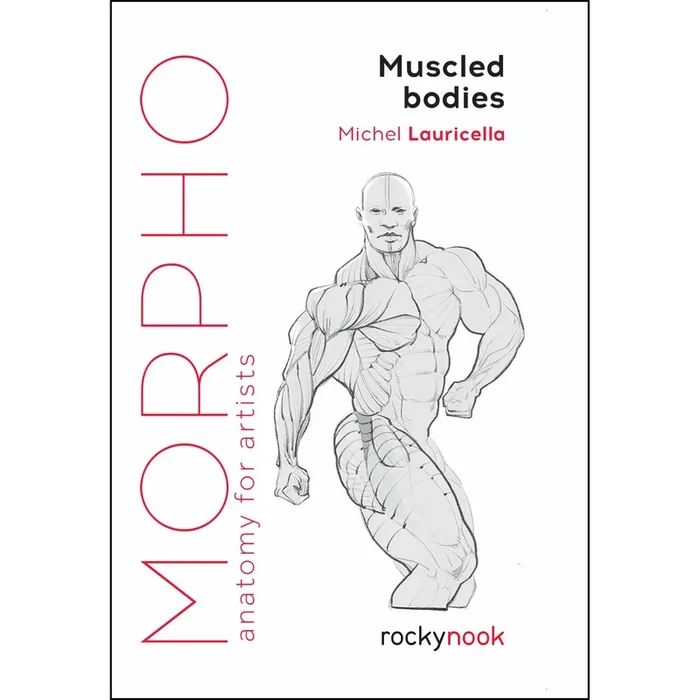Morpho: cuerpos musculosos
