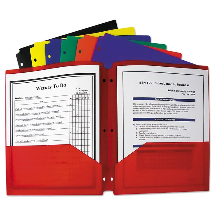 Two-Pocket Heavyweight Poly Portfolio Folder, 3-Hole Punch, 11 x 8.5, Assorted