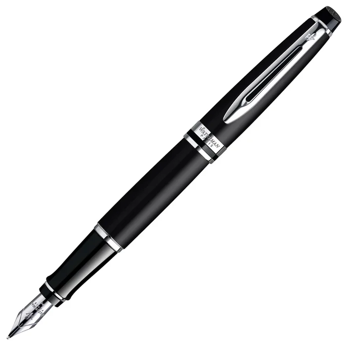 Waterman Expert Matt Black CT Fountain Pen