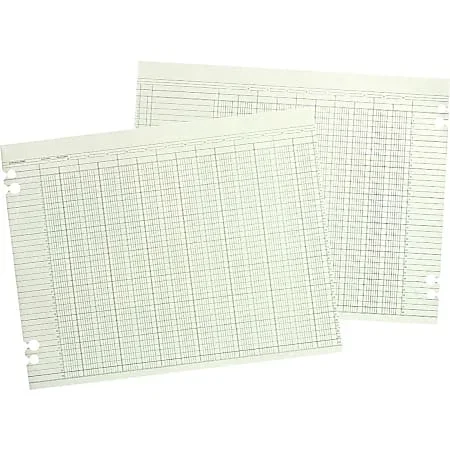 Wilson Jones® Columnar Ruled Sheet – 24 lb – Double Sided Sheet – Ledger – 11.88″x9.25″ Sheet Size – 4x Holes – G1010A